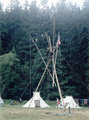 Tábor 2001 (červenec 2001 - , Houbař)